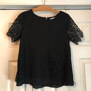 Never Worn Lace and Chiffon Top